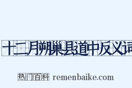 十二月朔巢县道中反义词是什么意思的图片